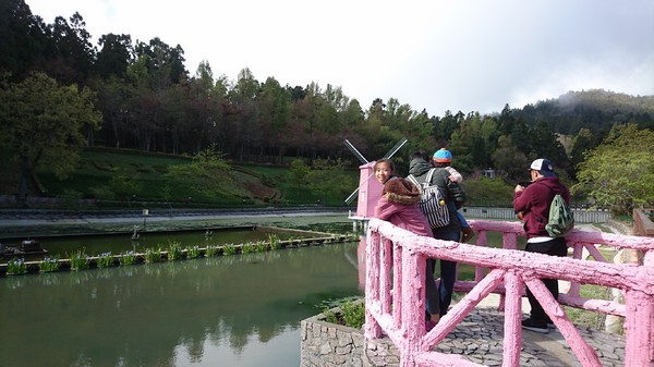 清境小瑞士花園:南投清境~清境小瑞士花園~媲美北歐童話造景~浪漫水上白色教堂~打卡拍照的好地方~ 清境小瑞士花園:南投清境~清境小瑞士花園~媲美北歐童話造景~浪漫水上白色教堂~打卡拍照的好地方~