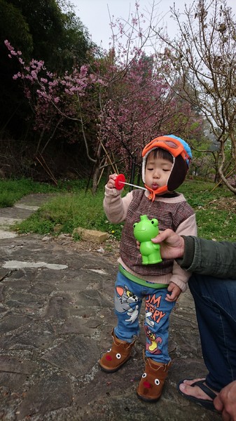 清境小瑞士花園:南投清境~清境小瑞士花園~媲美北歐童話造景~浪漫水上白色教堂~打卡拍照的好地方~ 清境小瑞士花園:南投清境~清境小瑞士花園~媲美北歐童話造景~浪漫水上白色教堂~打卡拍照的好地方~