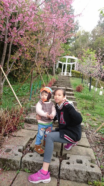 清境小瑞士花園:南投清境~清境小瑞士花園~媲美北歐童話造景~浪漫水上白色教堂~打卡拍照的好地方~ 清境小瑞士花園:南投清境~清境小瑞士花園~媲美北歐童話造景~浪漫水上白色教堂~打卡拍照的好地方~