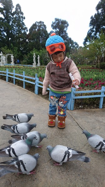 清境小瑞士花園:南投清境~清境小瑞士花園~媲美北歐童話造景~浪漫水上白色教堂~打卡拍照的好地方~ 清境小瑞士花園:南投清境~清境小瑞士花園~媲美北歐童話造景~浪漫水上白色教堂~打卡拍照的好地方~