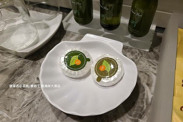 【嘉義/番路】仁義湖岸大酒店