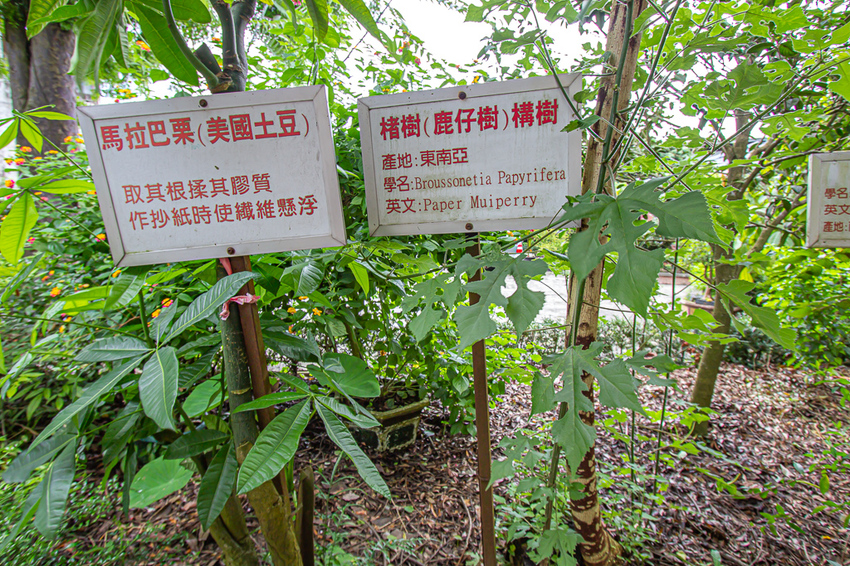 南投埔里,親子遊慢慢玩,廣興紙寮。 - 微笑Joe幸運