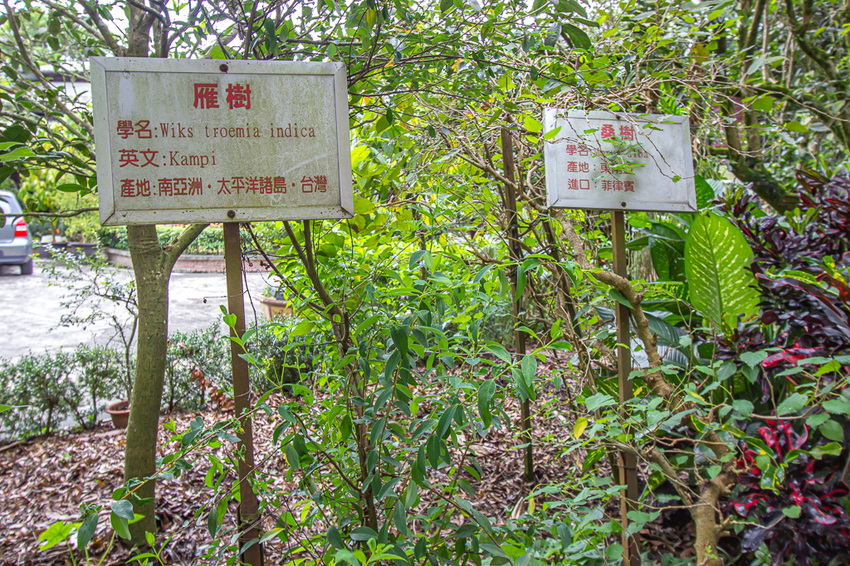 南投埔里,親子遊慢慢玩,廣興紙寮。 - 微笑Joe幸運