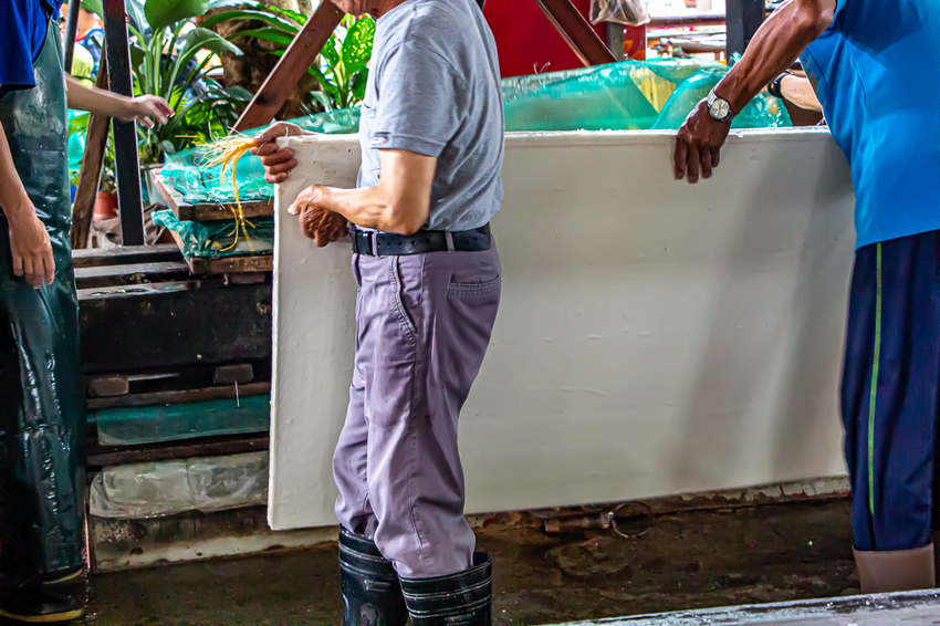 南投埔里,親子遊慢慢玩,廣興紙寮。 - 微笑Joe幸運