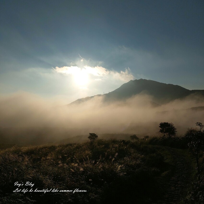 台北//士林//台灣的富士山~磺嘴山生態保護區加碼翠翠谷步道