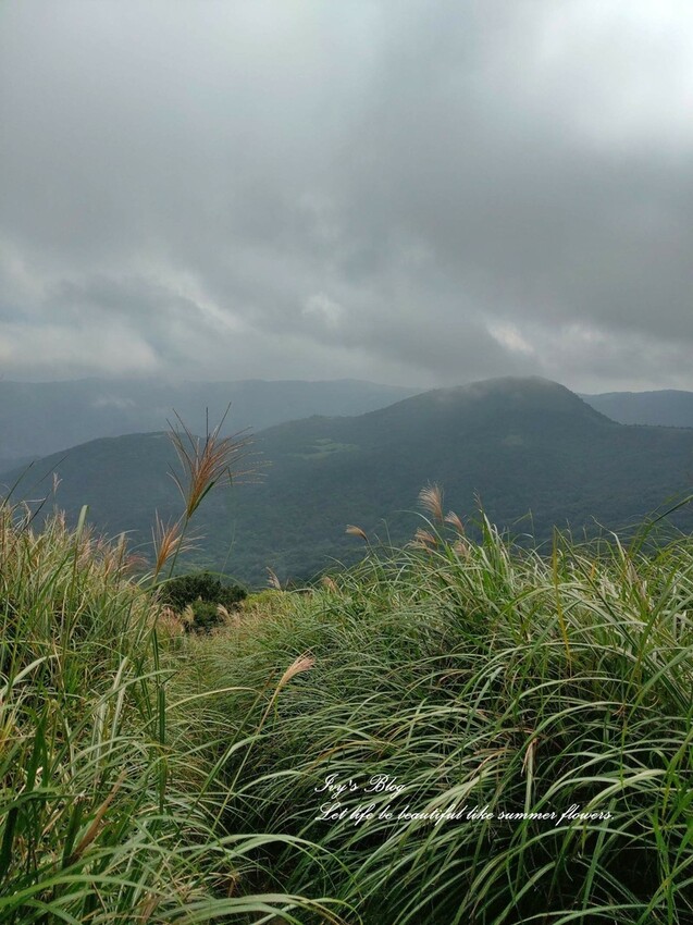 台北//士林//台灣的富士山~磺嘴山生態保護區加碼翠翠谷步道