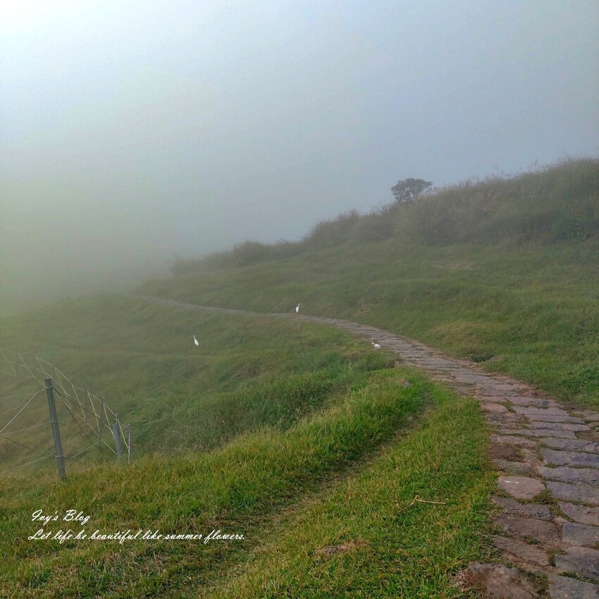台北//士林//台灣的富士山~磺嘴山生態保護區加碼翠翠谷步道