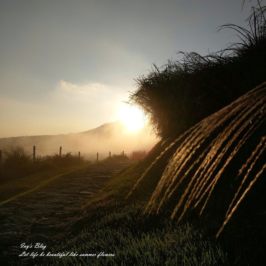 台北//士林//台灣的富士山~磺嘴山生態保護區加碼翠翠谷步道
