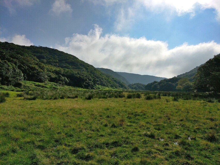 台北//士林//台灣的富士山~磺嘴山生態保護區加碼翠翠谷步道