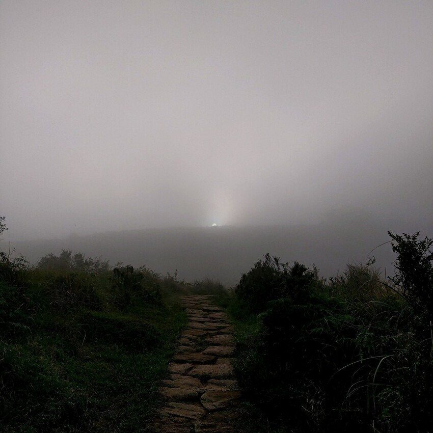 台北//士林//台灣的富士山~磺嘴山生態保護區加碼翠翠谷步道