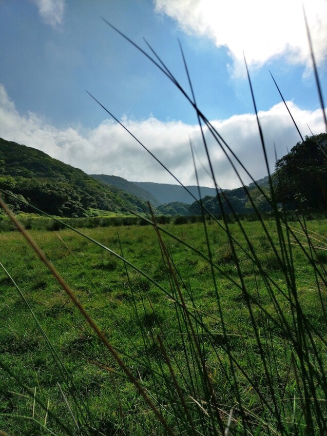 台北//士林//台灣的富士山~磺嘴山生態保護區加碼翠翠谷步道