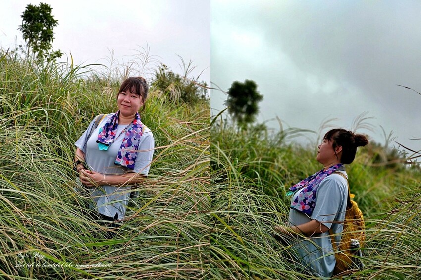 台北//士林//台灣的富士山~磺嘴山生態保護區加碼翠翠谷步道