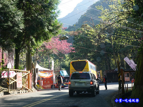 約台21線110 (2).jpg