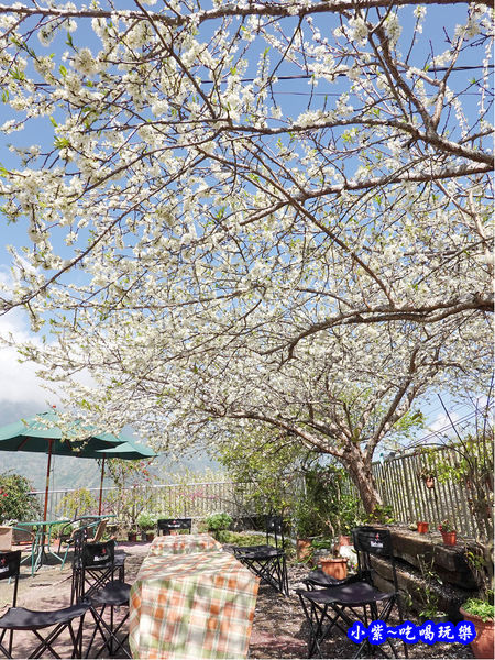 明生花步道、觀景步道景觀 (5).jpg