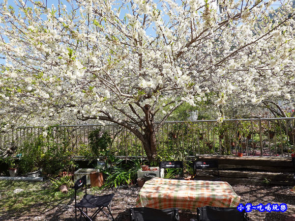 明生花步道、觀景步道景觀 (16).jpg