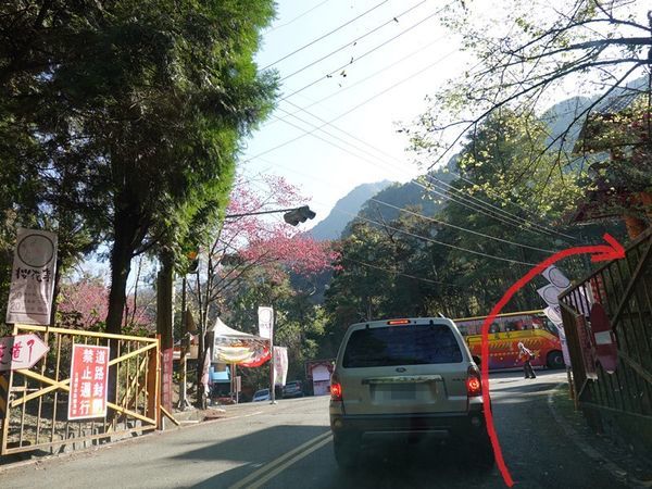 約台21線110 (1).JPG