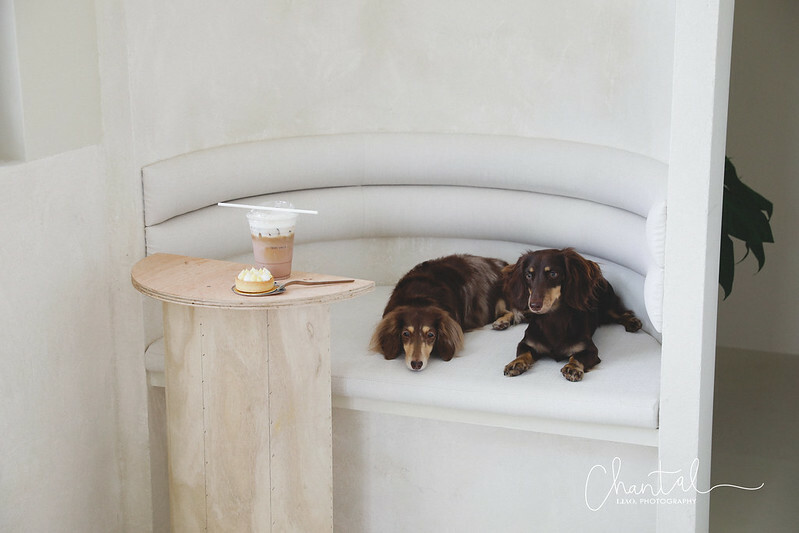 _J6A5283-2拷貝 拷貝