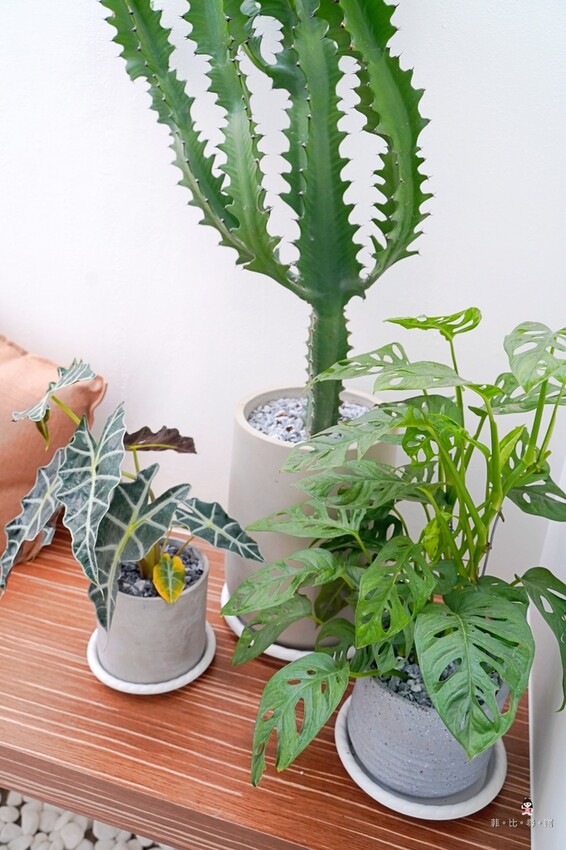 batch__DSC9622.jpg batch__DSC9622.jpg