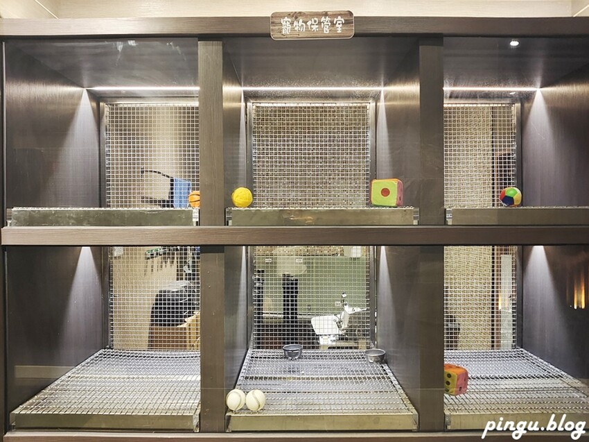 燒瓶子。大肆の鍋|員林鍋物美食：食尚玩家推薦優質火鍋 向日葵花牆IG打卡點