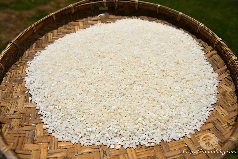 新美部落獵人營|阿里山親子景點推薦，小米酒DIY、射箭體驗、獵人餐，家庭出遊好選擇