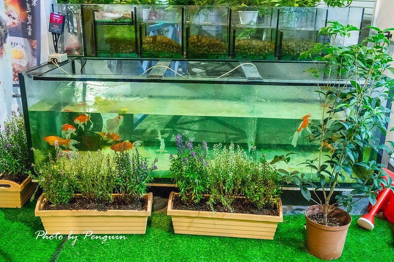 台南．安平區．老吳海陸燒肉．399元就能吃到優質肉品．家庭聚餐、親朋好友相揪來品嘗美味燒肉