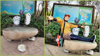 南投景點-特有生物研究保育教育館-中壢社大週四趴趴走˙有課外教學的樂趣