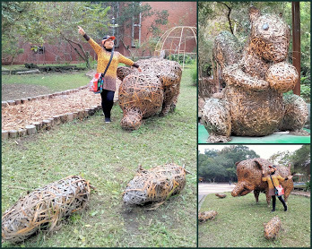 南投景點-特有生物研究保育教育館-中壢社大週四趴趴走˙有課外教學的樂趣