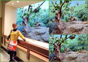 南投景點-特有生物研究保育教育館-中壢社大週四趴趴走˙有課外教學的樂趣