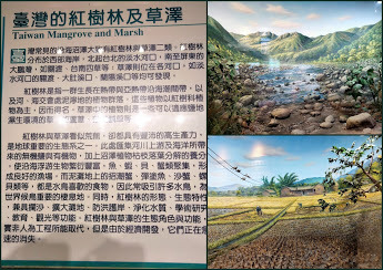 南投景點-特有生物研究保育教育館-中壢社大週四趴趴走˙有課外教學的樂趣