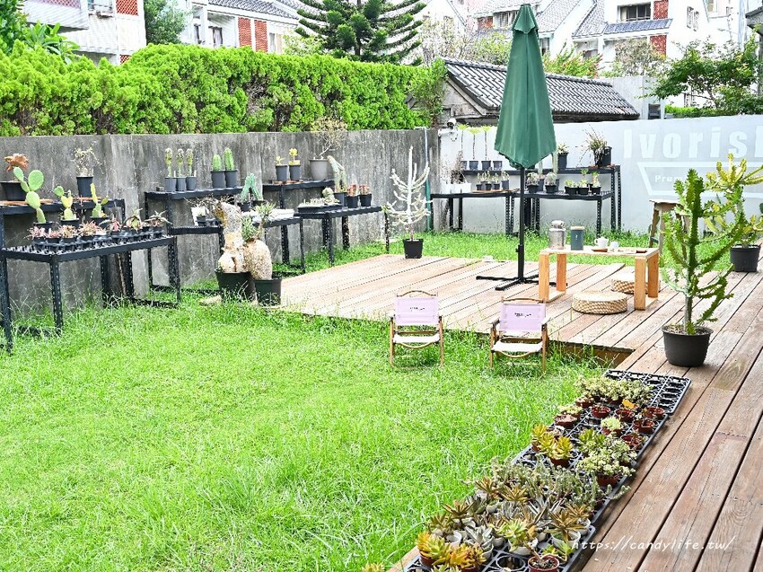 Ivorish東京超人氣法式吐司台中精誠店｜隱身在巷弄中的老宅人氣早午餐店，十週年聯名七三茶堂法式吐司，限量販售～