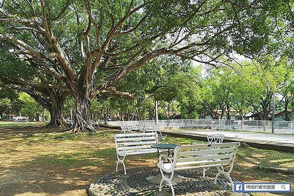 南投景點【中興新村散策】第一次來就愛慘的中興新村-漫遊文創眷村園區/每個角落都好好拍-還有吃不完的美食