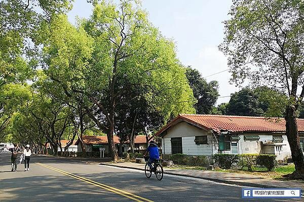 南投景點【中興新村散策】第一次來就愛慘的中興新村-漫遊文創眷村園區/每個角落都好好拍-還有吃不完的美食