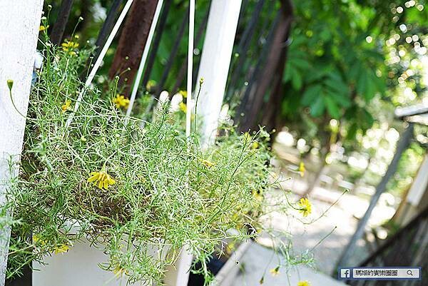 南投景點【中興新村散策】第一次來就愛慘的中興新村-漫遊文創眷村園區/每個角落都好好拍-還有吃不完的美食