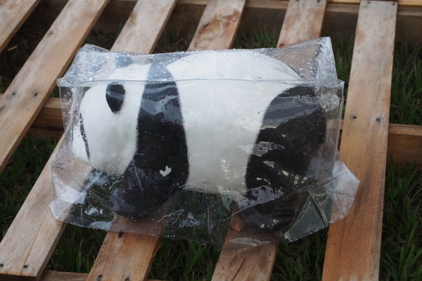 2014「1600 貓熊世界之旅 」:【南投‧中興新村】1600 貓熊世界之旅 2014「1600 貓熊世界之旅 」:【南投‧中興新村】1600 貓熊世界之旅