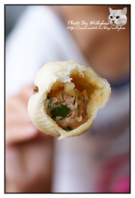 荷花賞-南投中興新村一日遊(南投市)