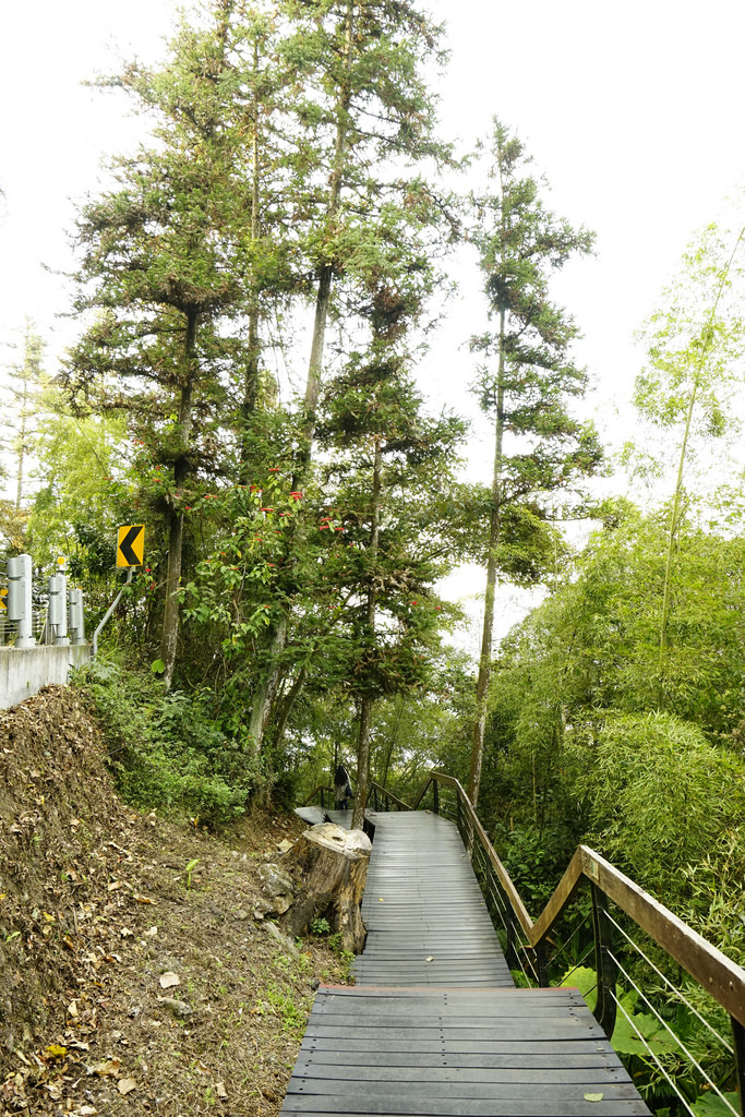 日月潭18度 日月潭18度