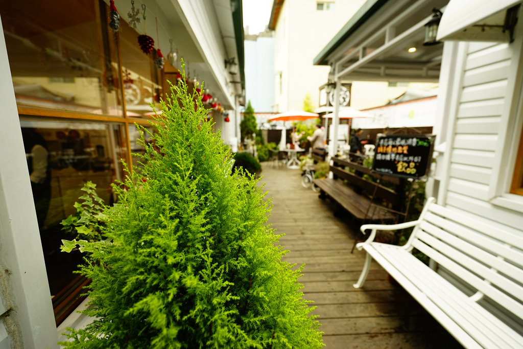 日月潭18度 日月潭18度