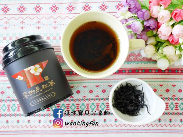 【南投埔里景點】廖鄉長紅茶故事館 免費參觀 IG打卡熱點 日月潭台茶18號 紅玉紅茶 紅茶茶菁 南投伴手禮 (42).JPG