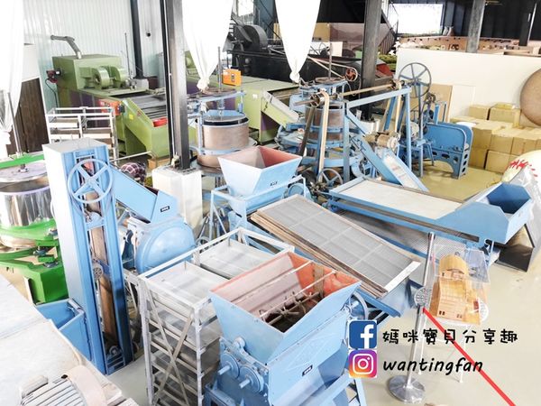 【南投埔里景點】廖鄉長紅茶故事館 免費參觀 IG打卡熱點 日月潭台茶18號 紅玉紅茶 紅茶茶菁 南投伴手禮 (12).JPG