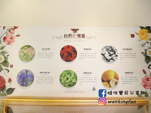 【南投埔里景點】廖鄉長紅茶故事館 免費參觀 IG打卡熱點 日月潭台茶18號 紅玉紅茶 紅茶茶菁 南投伴手禮 (17).JPG