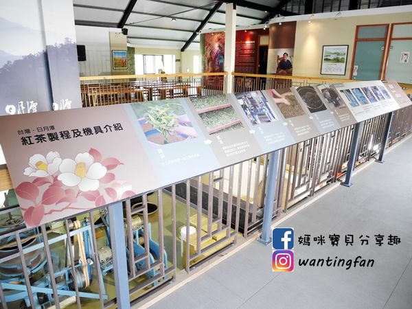 【南投埔里景點】廖鄉長紅茶故事館 免費參觀 IG打卡熱點 日月潭台茶18號 紅玉紅茶 紅茶茶菁 南投伴手禮 (14).JPG