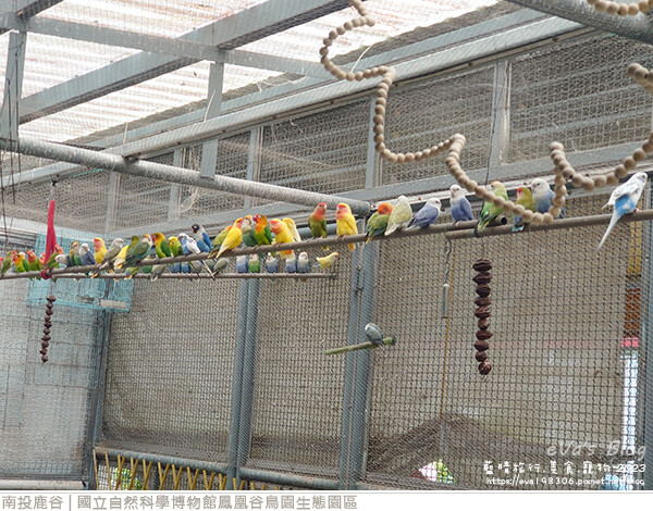 鳳凰谷鳥園生態園區-36.jpg