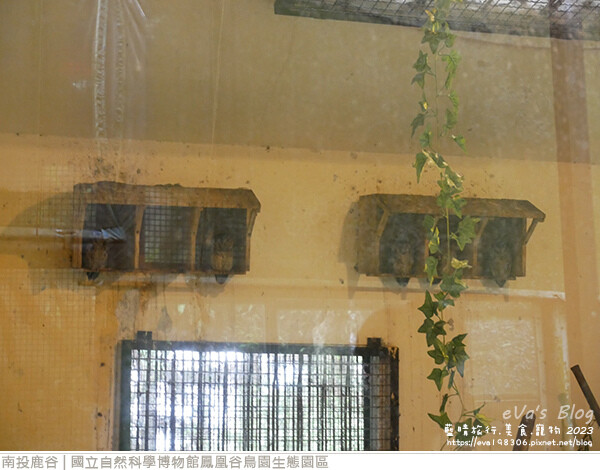 鳳凰谷鳥園生態園區-46.jpg