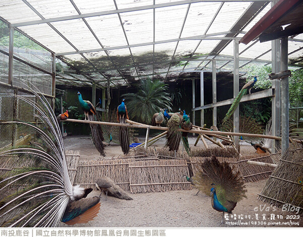 鳳凰谷鳥園生態園區-25.jpg