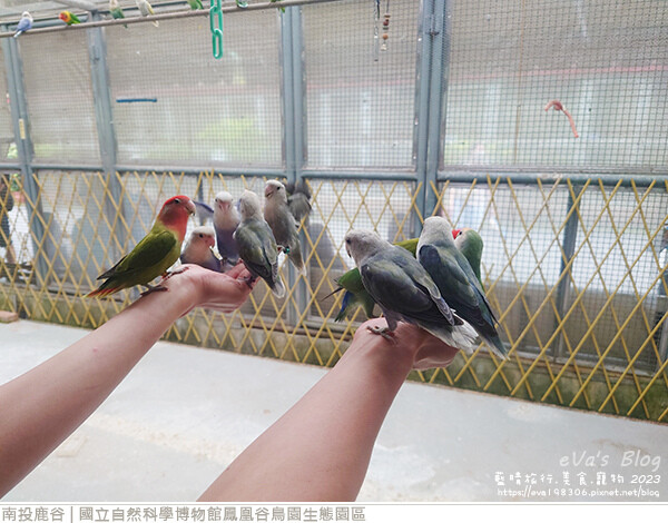 鳳凰谷鳥園生態園區-42.jpg