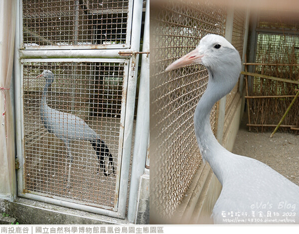 鳳凰谷鳥園生態園區-22.jpg