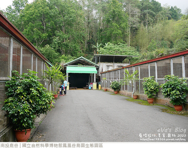 鳳凰谷鳥園生態園區-30.jpg