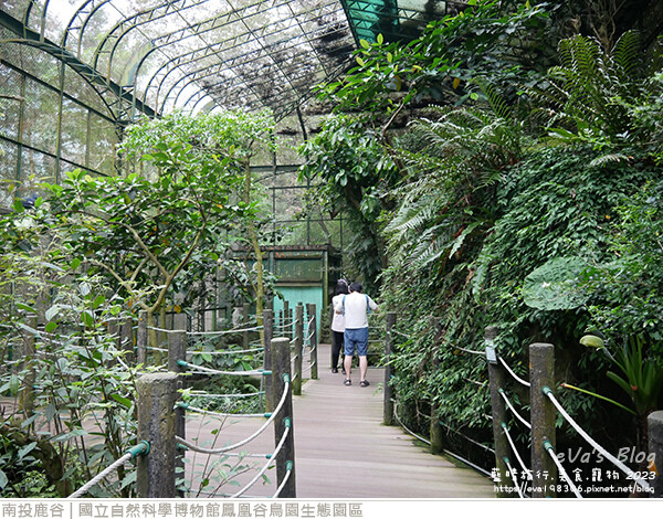 鳳凰谷鳥園生態園區-57.jpg