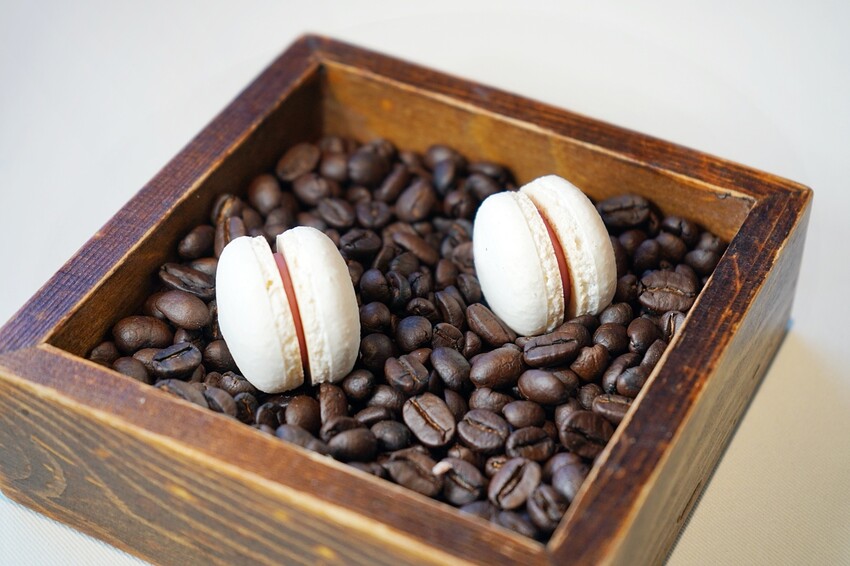 隱身在巷弄內的絕美玻璃屋，選用當季食材與創意料理手法的鮮美滋味，相當適合情侶約會、節日慶祝！