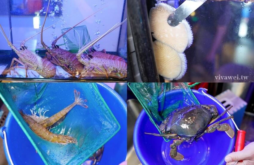 【蟳鮮屋 和牛·海鮮·健康鍋物】藝文特區高質感鍋物~水族箱現撈的活跳跳海鮮~打卡加碼送肉盤誠意十足~